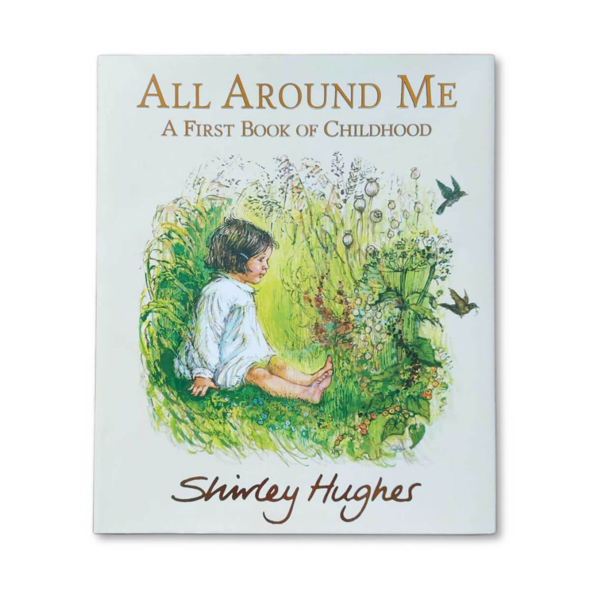 all around me a first book of childhood by shirley hughes