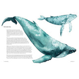 Atlas of amazing migrations children's book written by Megan Lee with illustrations by Matt Sewell