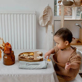 Blue brontide car wooden plate, divider plates, childrens Eco tableware uk.