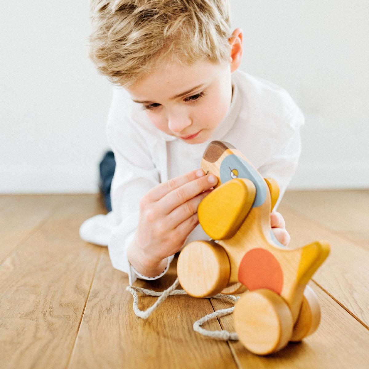 friendly toys wooden pull along dog toddler toy