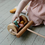 friendly toys wooden push along lawn mower toy