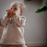Baby chewing eco-friendly Natruba teether – butterfly shape