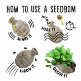 Kabloom the shrew with the flu  book and seedbom children's gift set