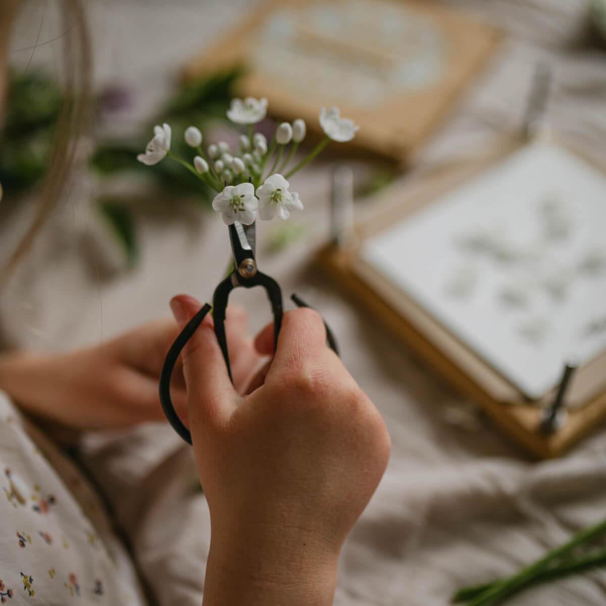 Heirloom wooden flower press small at blue brontide UK