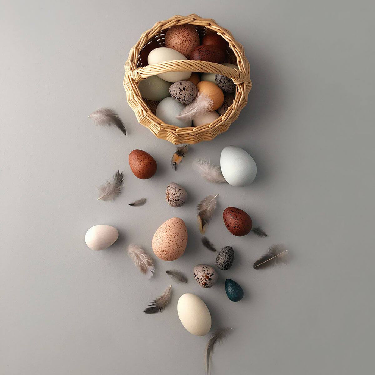 Moon picnic a dozen bird eggs in a box education toy