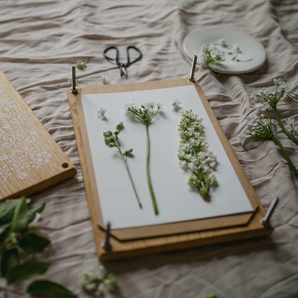 Extra large wooden flower press at blue brontide UK