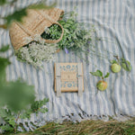 wooden flower press with straps - flower pressing at blue brontide uk