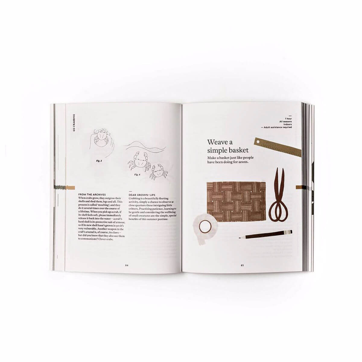 The nature of play book by Fanny and Alexander