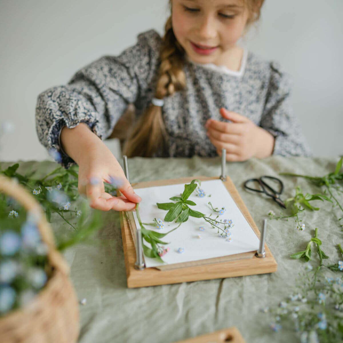 heirloom-wooden-flower-press-delicate-daisy-blue-brontide-uk