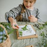 heirloom-wooden-flower-press-delicate-daisy-blue-brontide-uk