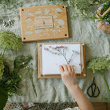 flower-press-kit-daisy-chain-blue-brontide-uk