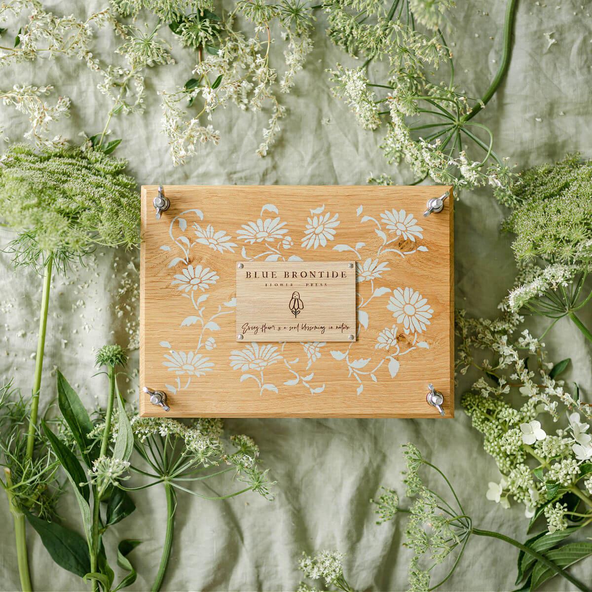 flower-press-kit-daisy-chain-blue-brontide-uk