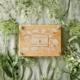 flower-press-kit-daisy-chain-blue-brontide-uk