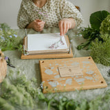 flower-press-kit-daisy-chain-blue-brontide-uk