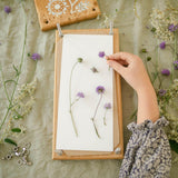 wooden flower press pressing flowers with the stem - blue brontide uk
