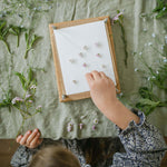 heirloom-wooden-flower-press-delicate-daisy-blue-brontide-uk