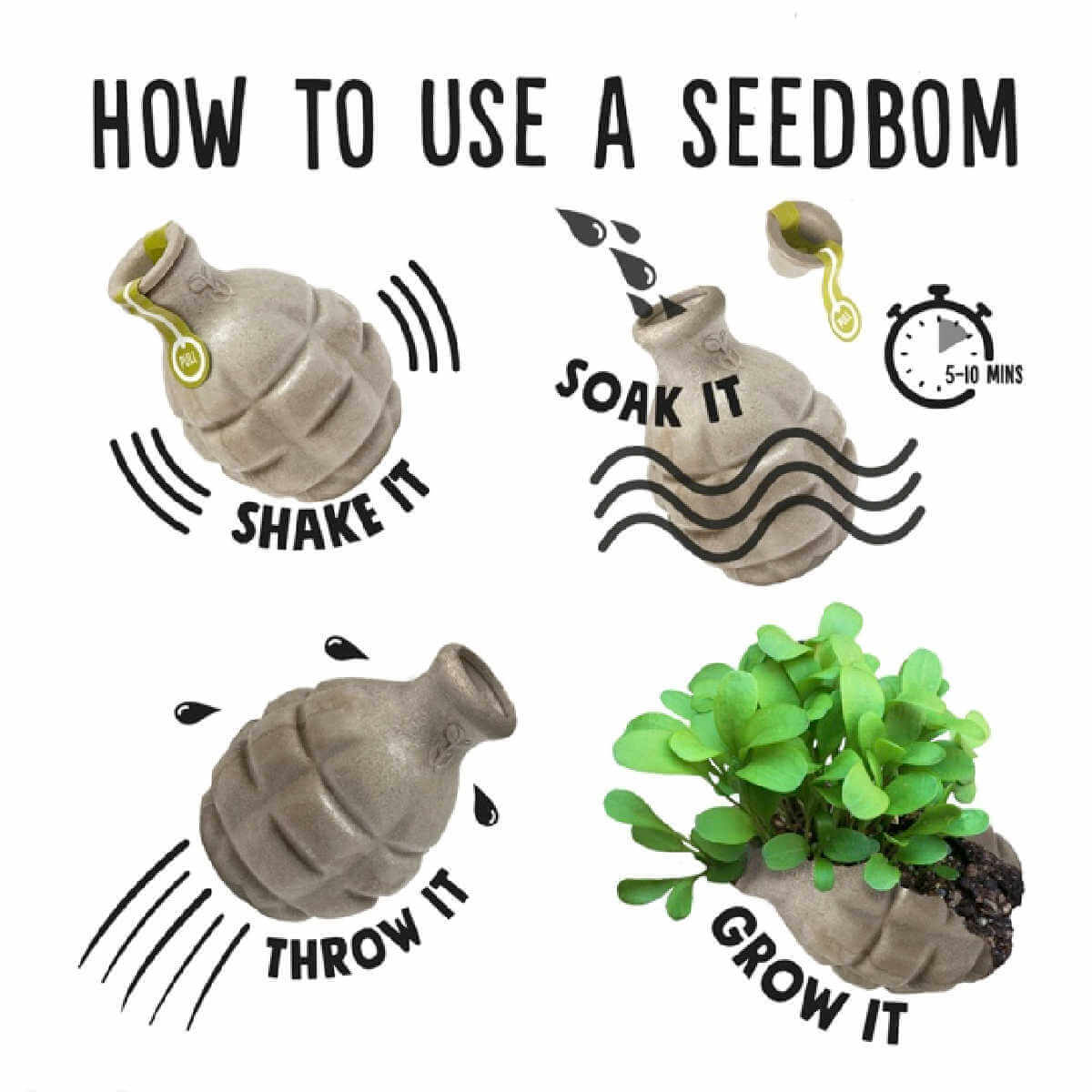 Kabloom foragebom seedbom