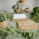 flower-press-kit-daisy-chain-blue-brontide-uk