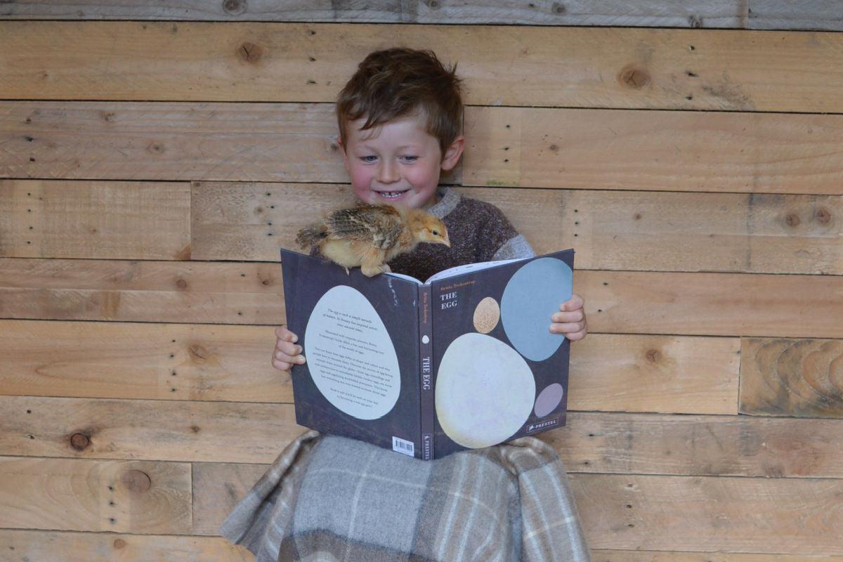 children's book of the month the egg by Britta Teckentrup