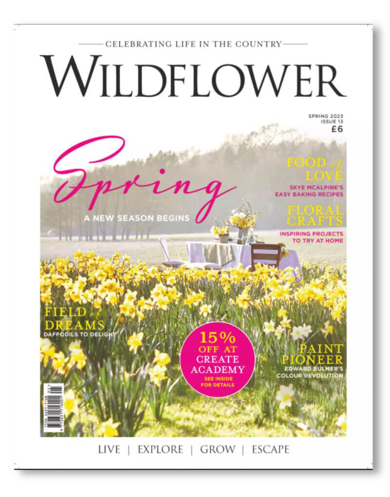 blue brontide features in wildflower magazine