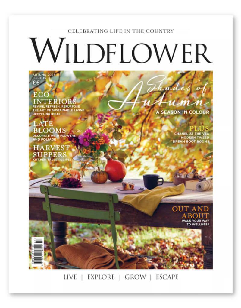 blue brontide features in wildflower magazine autumn