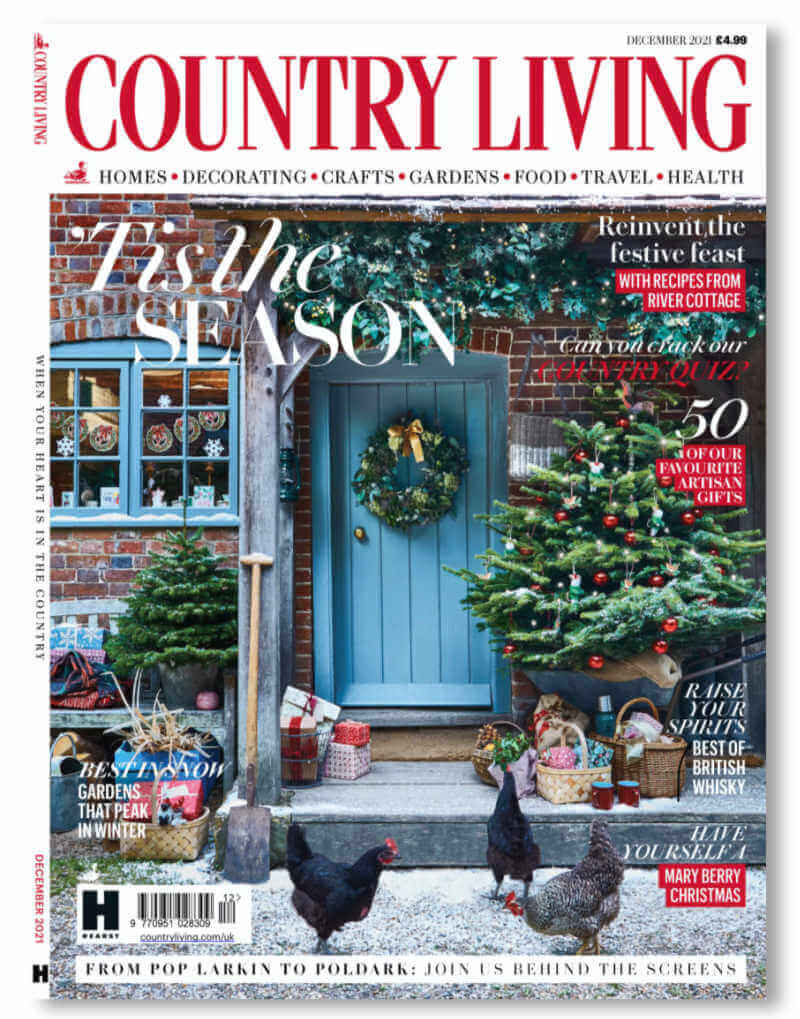 Blue Brontide features in country living magazine