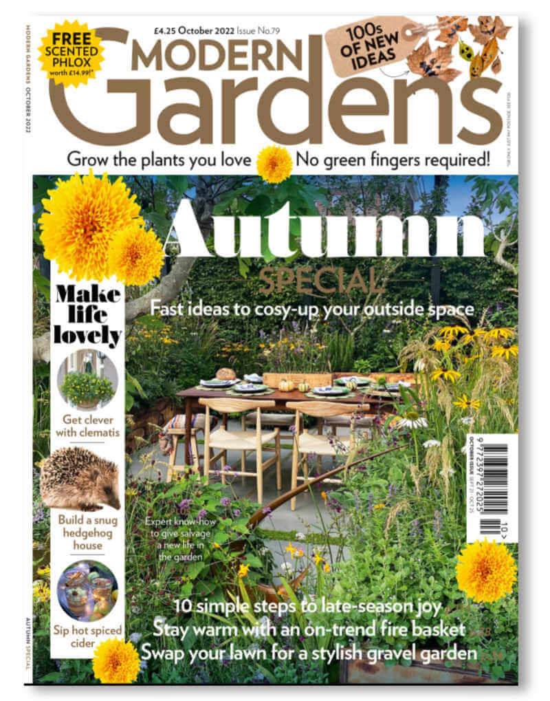 blue brontide features in modern gardens magazine