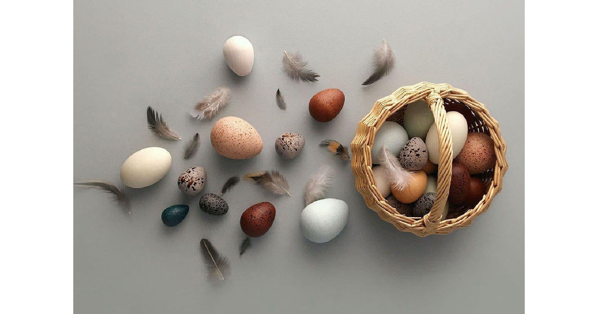 A Dozen Bird Eggs Moon Picnic - Wooden Pretend Play Toy