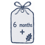 A simple graphic of a hanging tag or label with a blue border, a blue bow at the top, and the text '6 months' with a plus sign and small leaf icon on a white background.