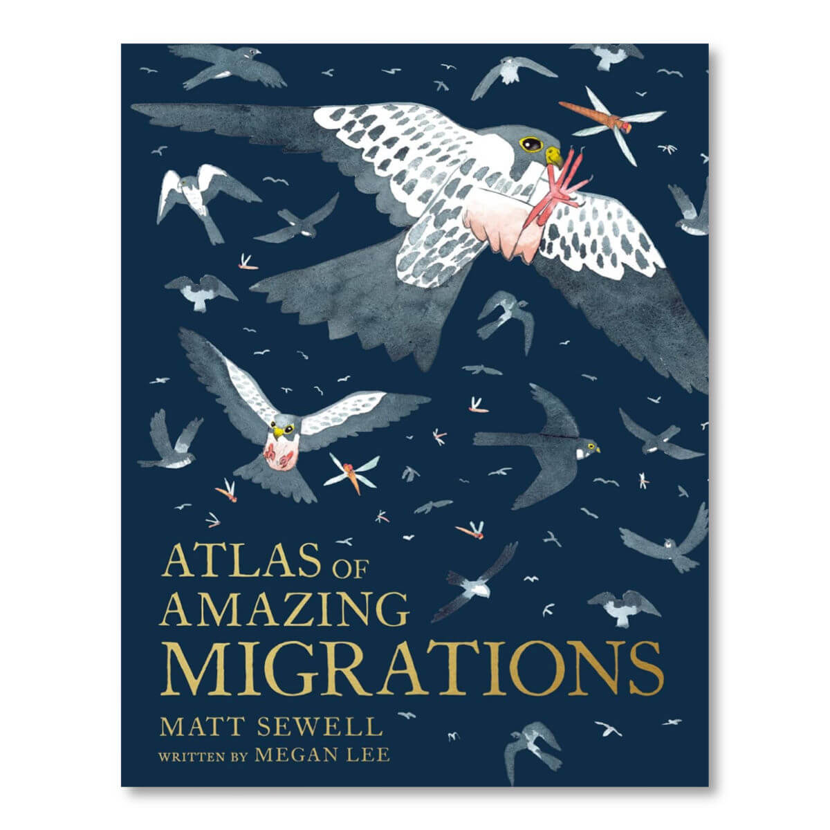 Atlas of amazing migrations children's book written by Megan Lee with illustrations by Matt Sewell