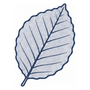 A single stylized leaf illustration in blue outline with a pale lavender-gray fill on a plain white background.