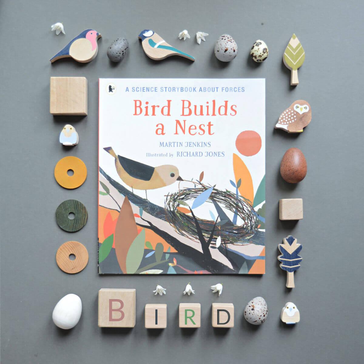 bird builds a nest children's science storybook about forces by martin jenkins illustrated by richard jones