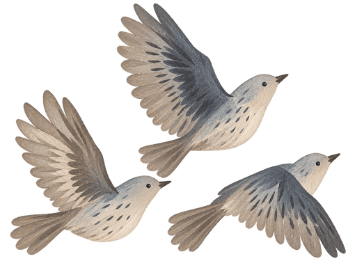 Three watercolor-style birds in flight, rendered in soft gray, beige, and brown tones on a plain white background.