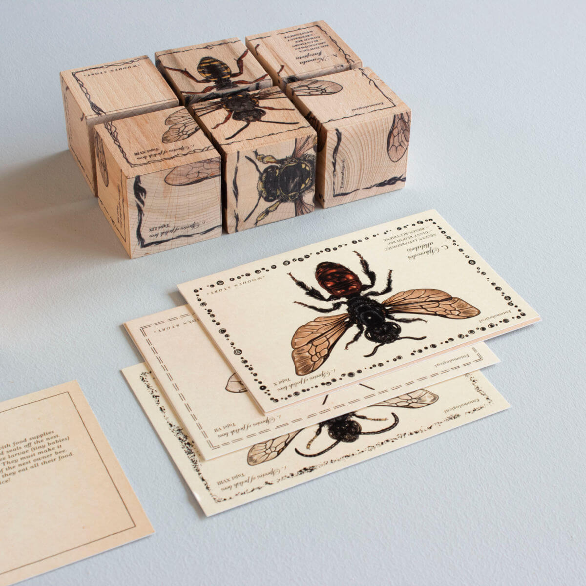 wooden blocks in species of bees design by wooden story