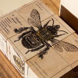 wooden blocks in species of bees design by wooden story