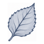 A single stylized leaf illustration in blue-gray and navy outlines on a plain white background.