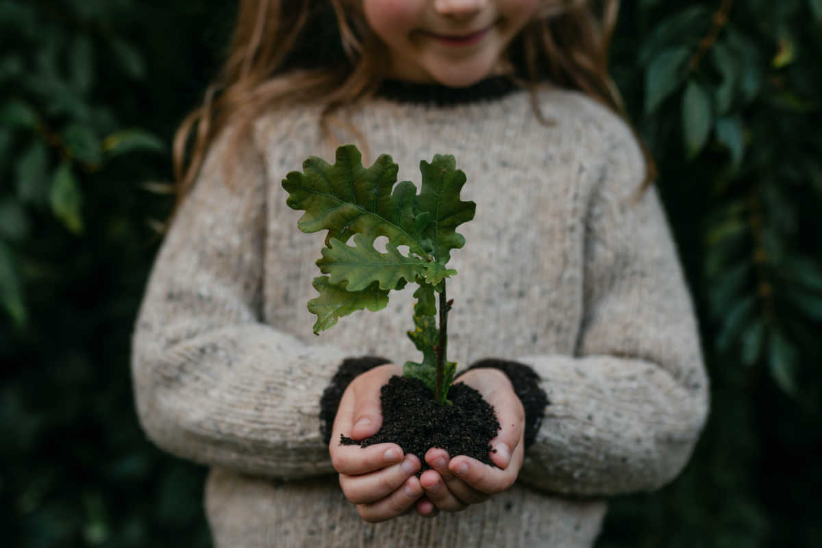 one tree planted with every order at Ecologi by blue brontide uk