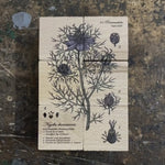 wooden blocks handmade by wooden story in melliferous plants movie