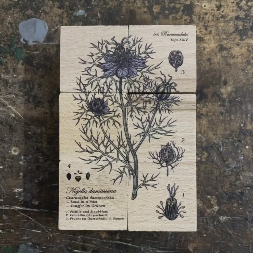 wooden blocks handmade by wooden story in melliferous plants movie