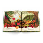 The green child open children's picture book showing a colourful autumn forest illustration with layered paper-style leaves in red, orange, yellow, brown, and green, plus small lines of text on the cream-coloured pages.