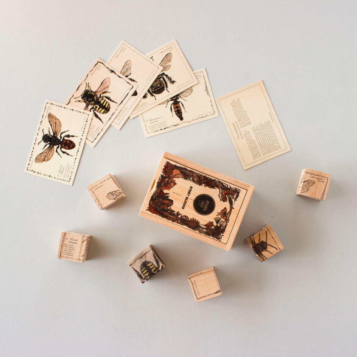 wooden blocks in species of bees design by wooden story