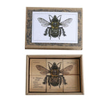 wooden blocks species of bees educational toys by wooden story