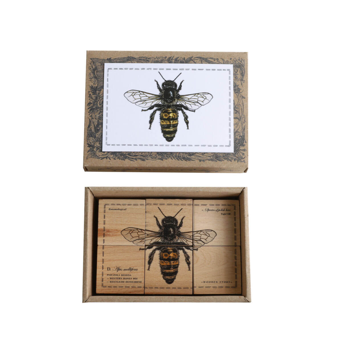 wooden blocks species of bees educational toys by wooden story