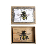 wooden blocks species of bees educational toys by wooden story