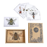 wooden blocks species of bees educational toys by wooden story