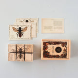 wooden blocks in species of bees design by wooden story