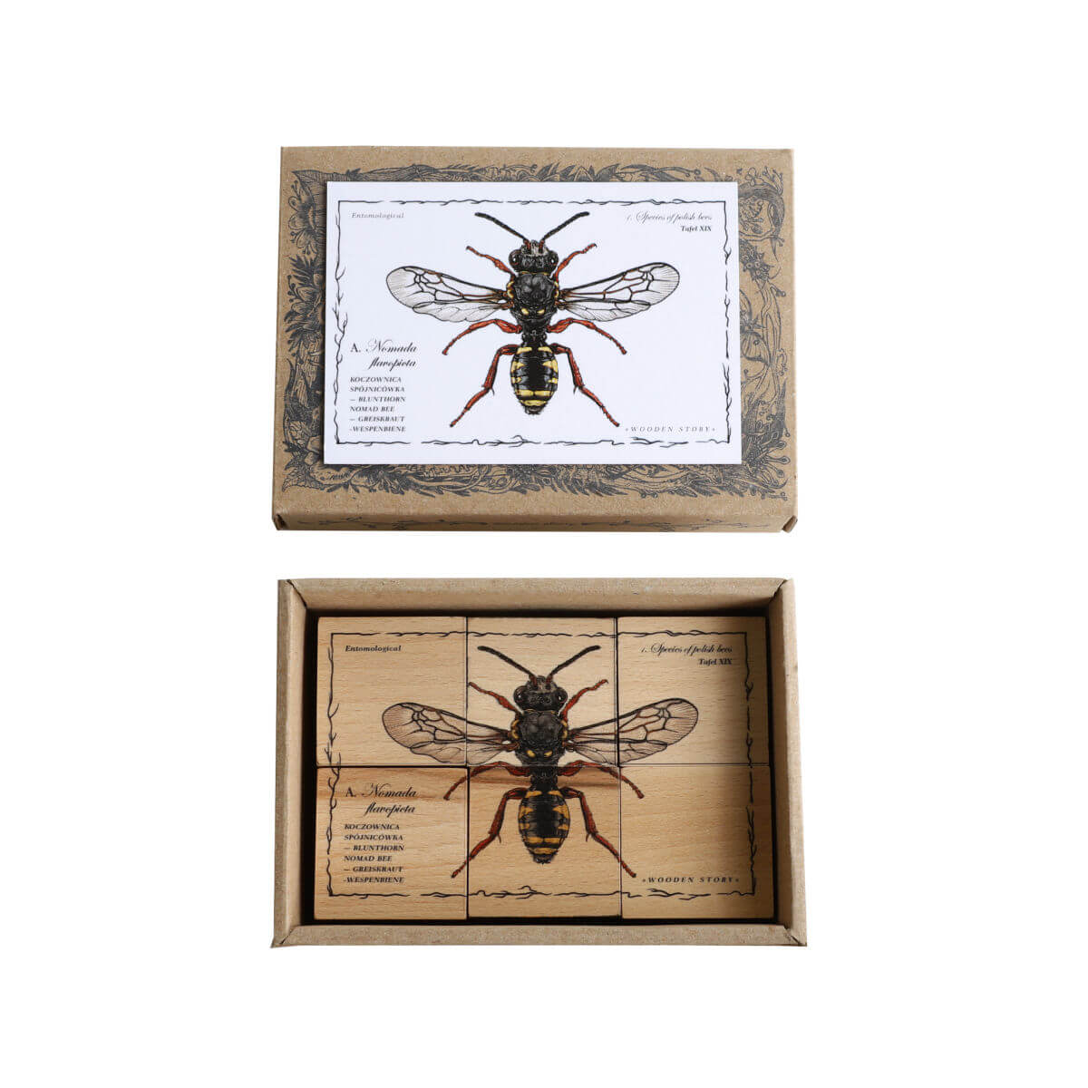 wooden blocks species of bees educational toys by wooden story