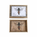 wooden blocks species of bees educational toys by wooden story