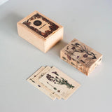 wooden blocks melliferous plants by wooden story