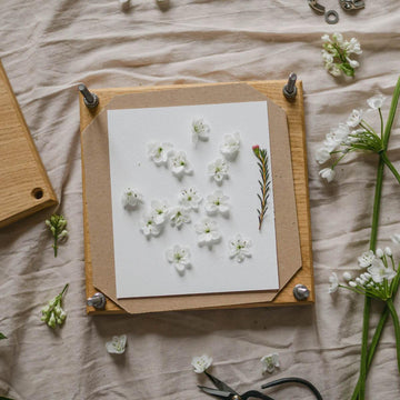 Blotting paper and card in use inside a flower press